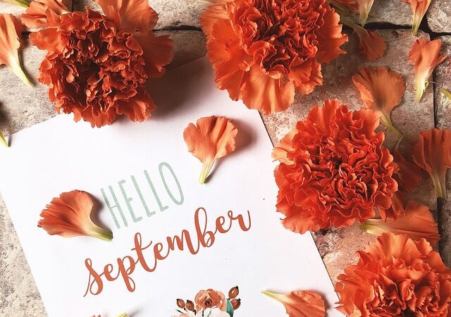 september-4876232_640